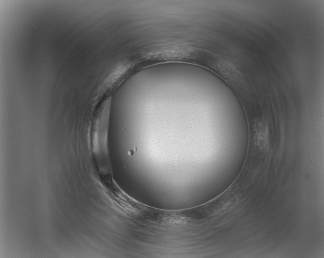 X0000060550206200511070930