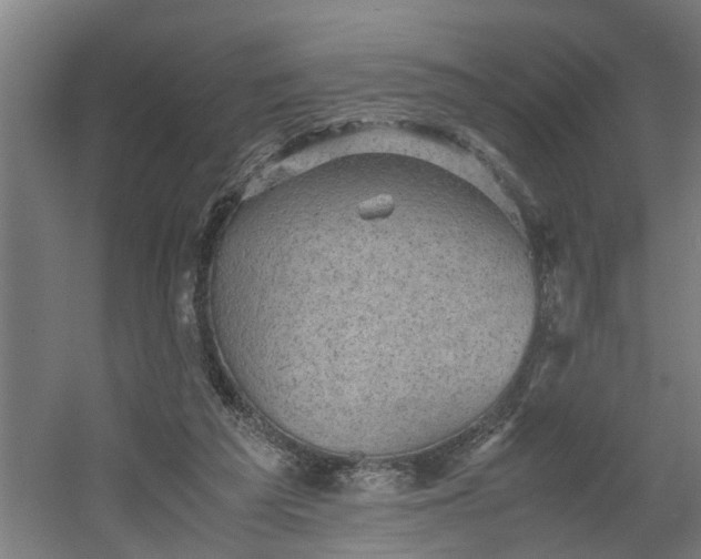 X0000060550209200511070930