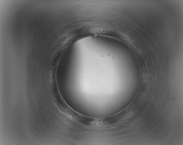 X0000060550211200511070930