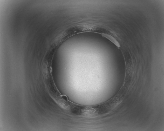 X0000060550215200511070930