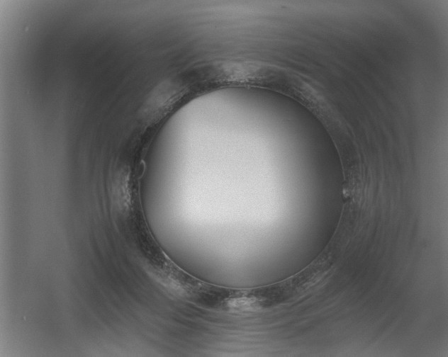 X0000060550216200511070929