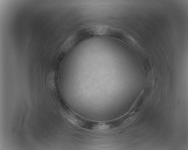 X0000060550217200511070929