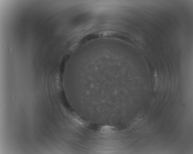 X0000060550222200511070929