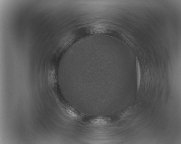 X0000060550224200511070929