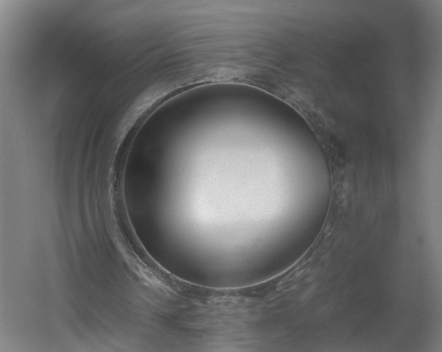 X0000060550242200511070928