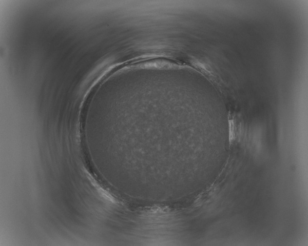 X0000060550243200511070928