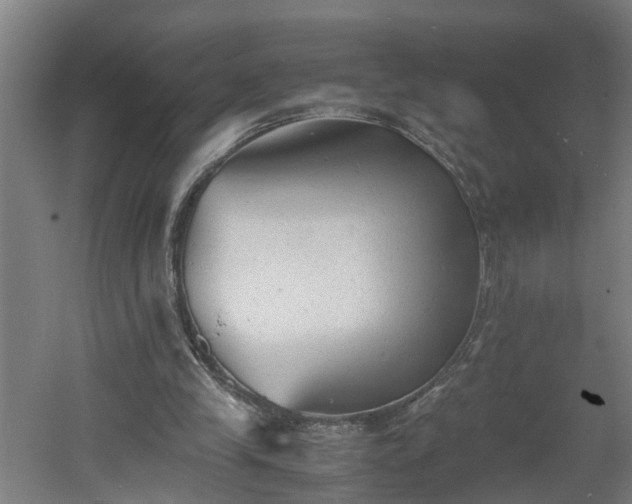 X0000060550245200511070928