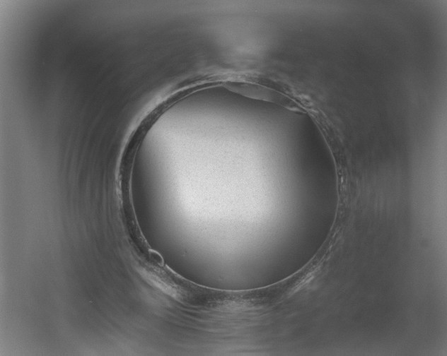 X0000060550246200511070928