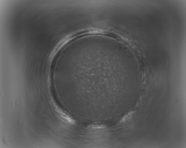 X0000060550247200511070928