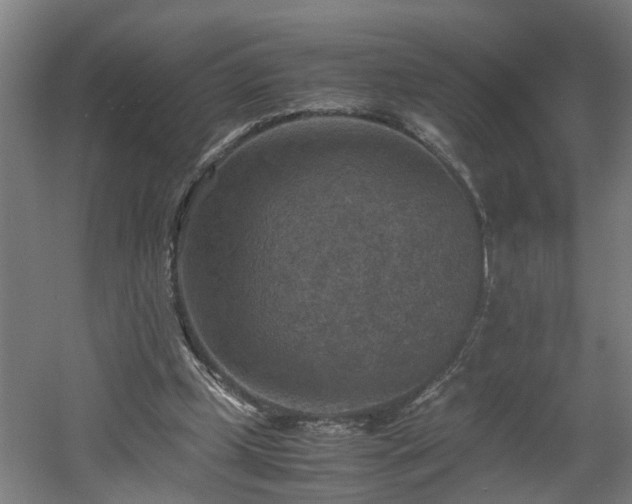 X0000060550249200511070928