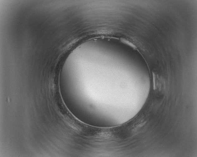 X0000060550252200511070928