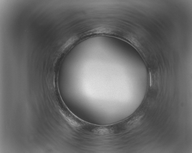 X0000060550253200511070928