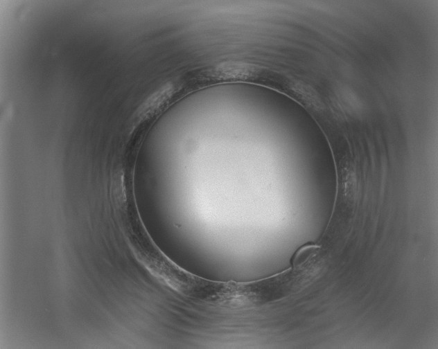 X0000060550254200511070928