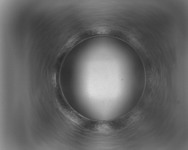 X0000060550262200511070929