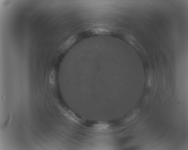 X0000060550266200511070929