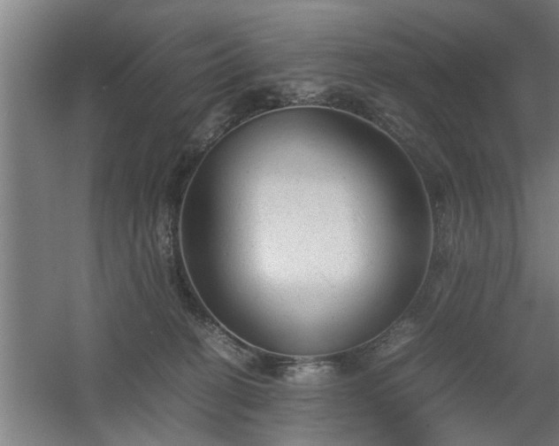 X0000060550274200511070929