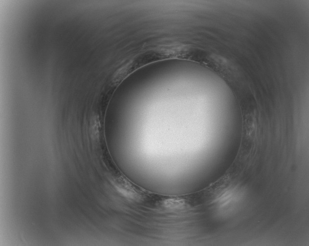 X0000060550279200511070929