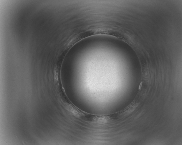 X0000060550282200511070929