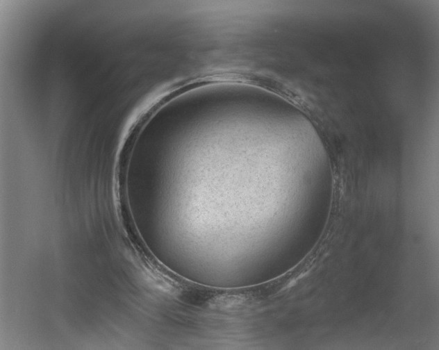 X0000060550294200511070928