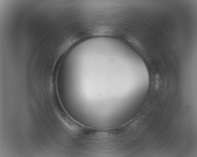 X0000060550298200511070928
