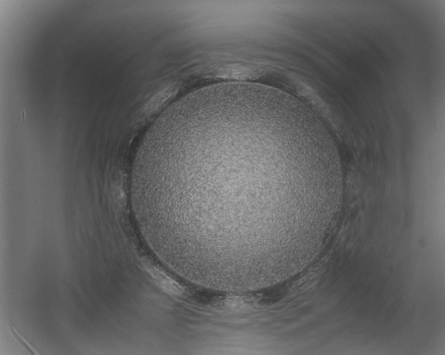 X0000060550305200511070928