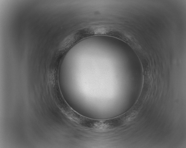 X0000060550311200511070928