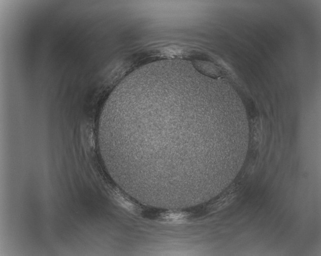 X0000060550313200511070928