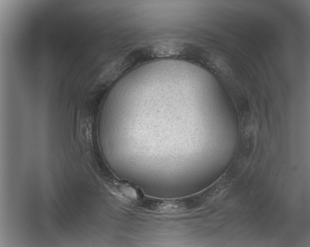 X0000060550315200511070928