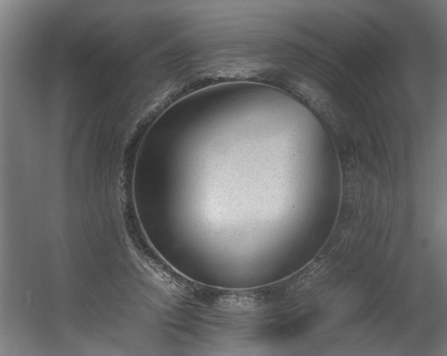X0000060550354200511070927