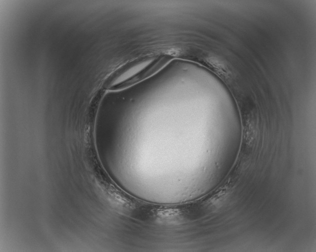 X0000060550355200511070927