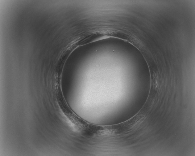 X0000060550356200511070927