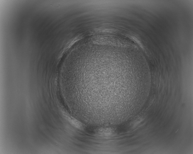 X0000060550357200511070927