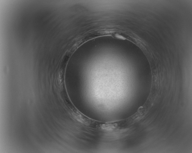 X0000060550373200511070927