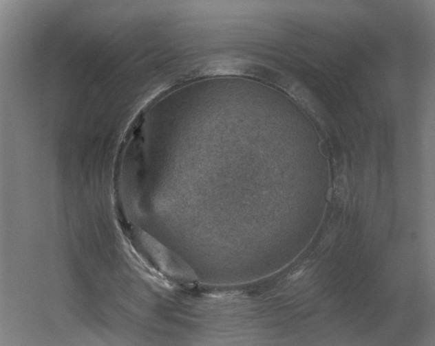 X0000060550386200511070927