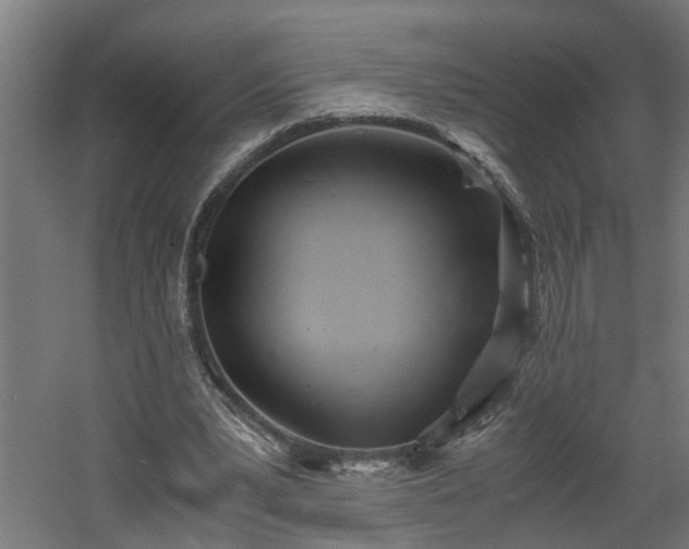 X0000060550391200511070927