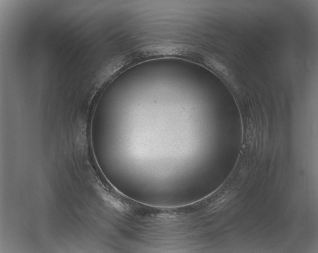 X0000060550394200511070926
