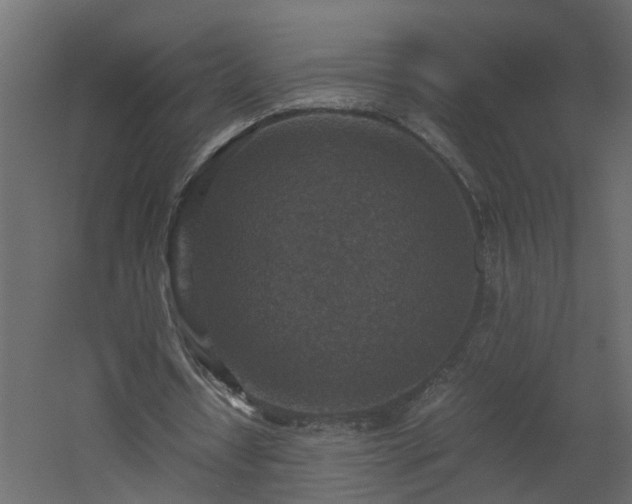 X0000060550434200511070925
