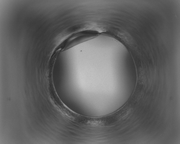 X0000060550440200511070925