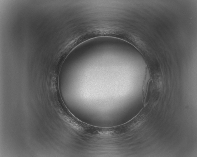 X0000060550450200511070925