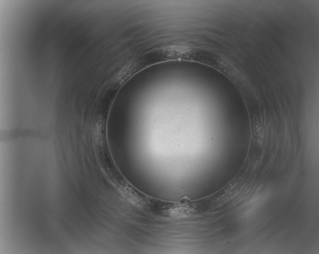 X0000060550468200511070926