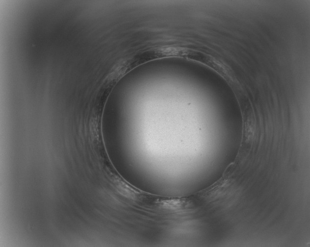 X0000060550473200511070926