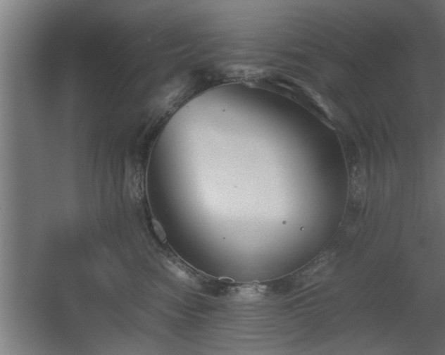X0000060550474200511070926