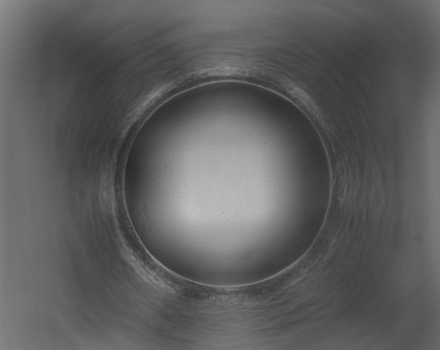 X0000060550482200511070925