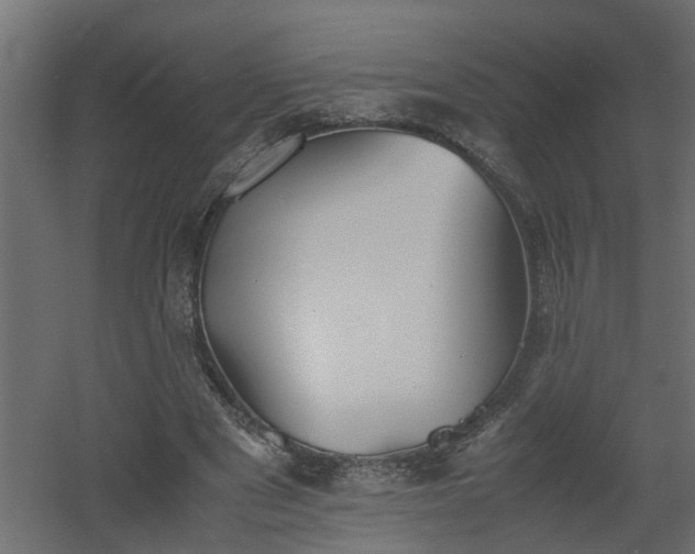 X0000060550489200511070925