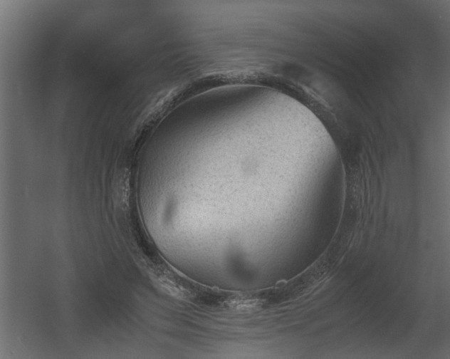X0000060550495200511070925