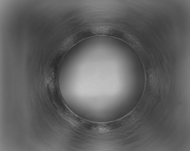 X0000060550498200511070925