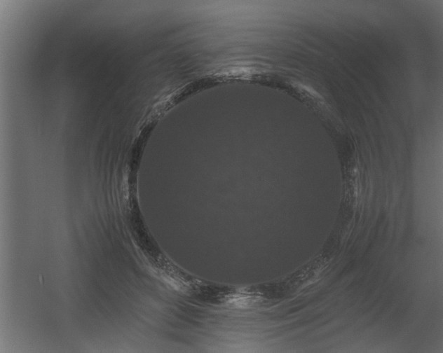 X0000060550504200511070925