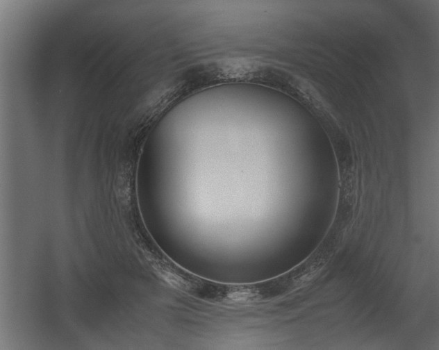 X0000060550505200511070925
