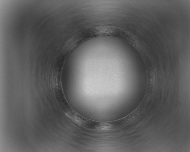 X0000060550514200511070924