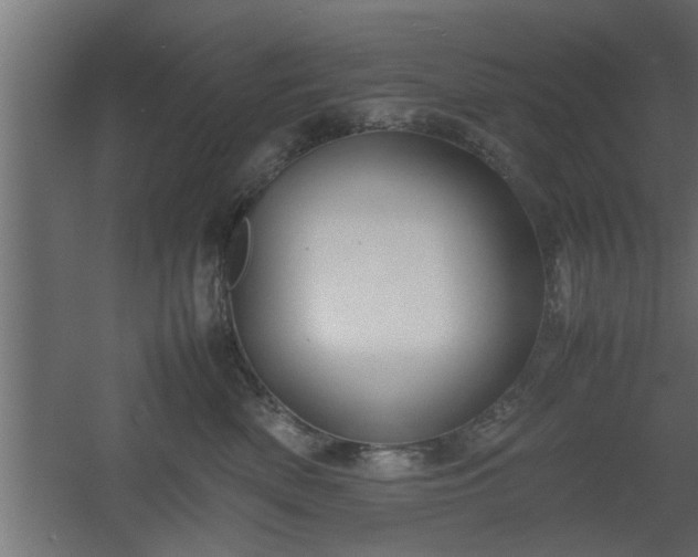 X0000060550522200511070924